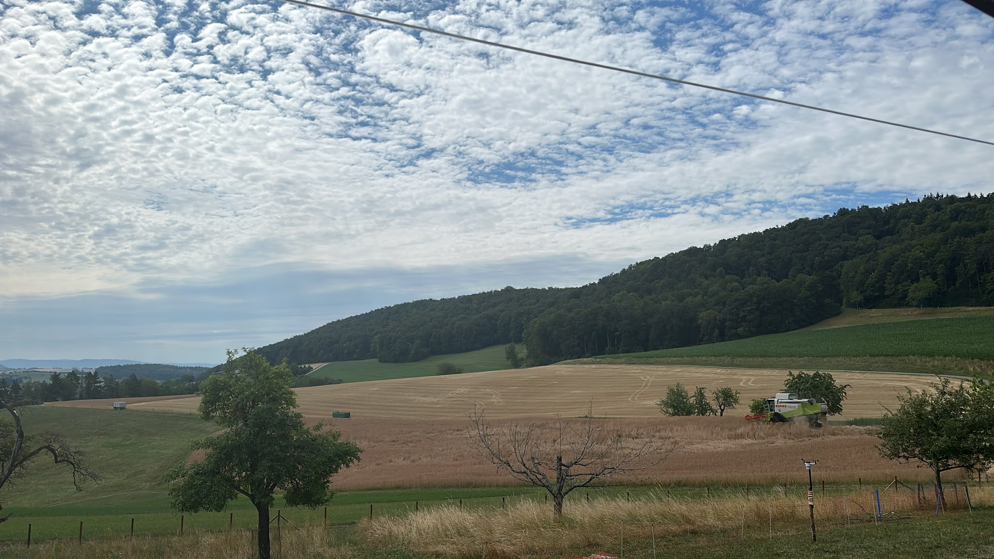 Getreideernte in Opfertshofen