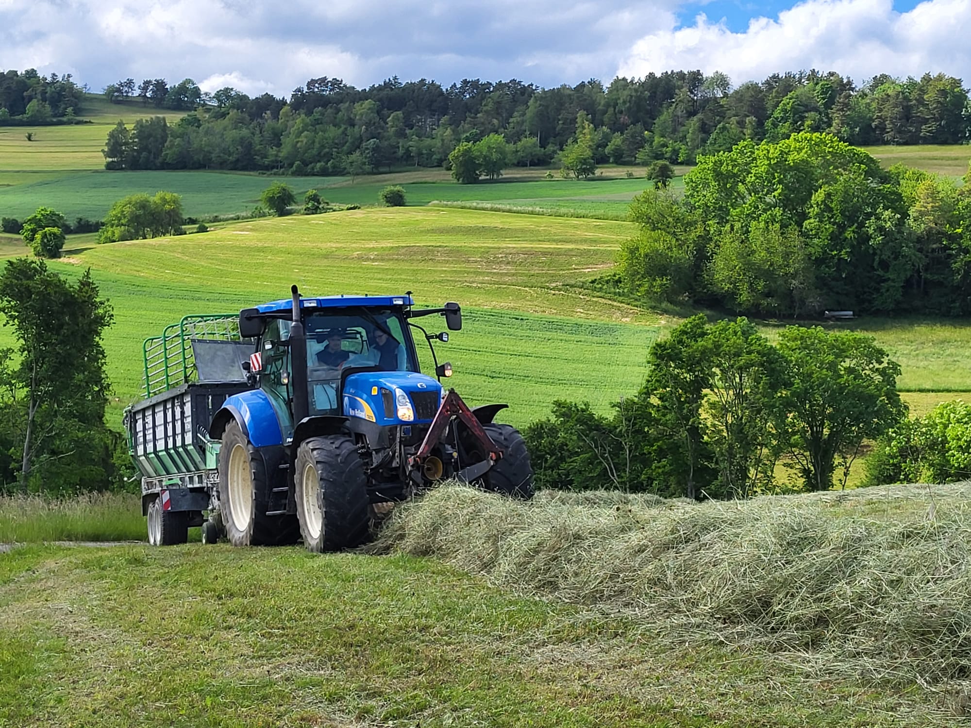 Heu ernten, Hof Werner Merishausen