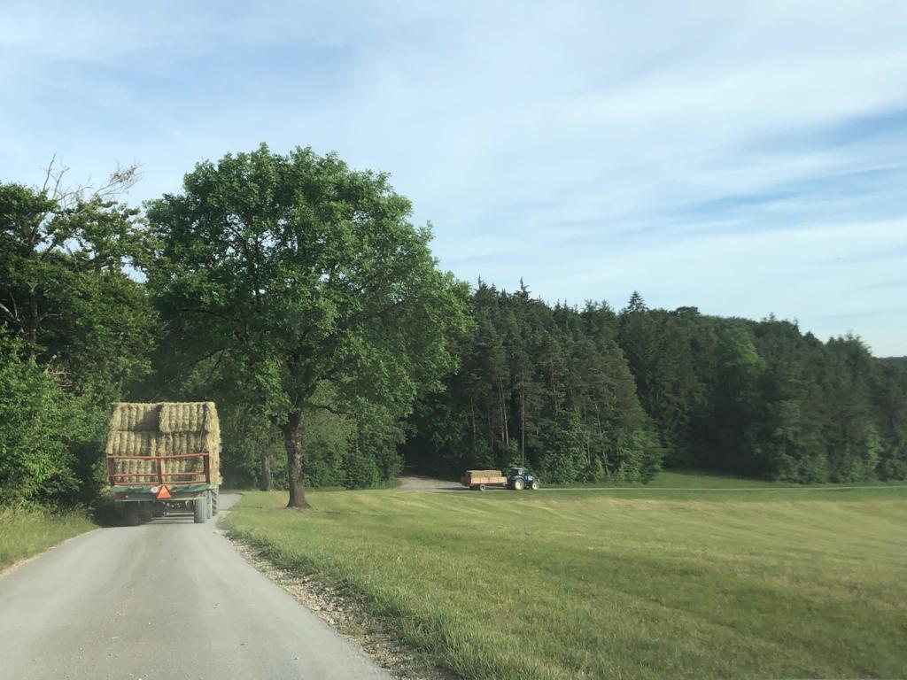 Heu ernten, Hof Werner Merishausen