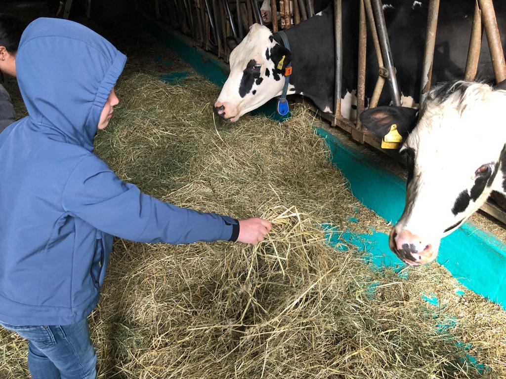 Schule auf dem Bauernhof Merishausen