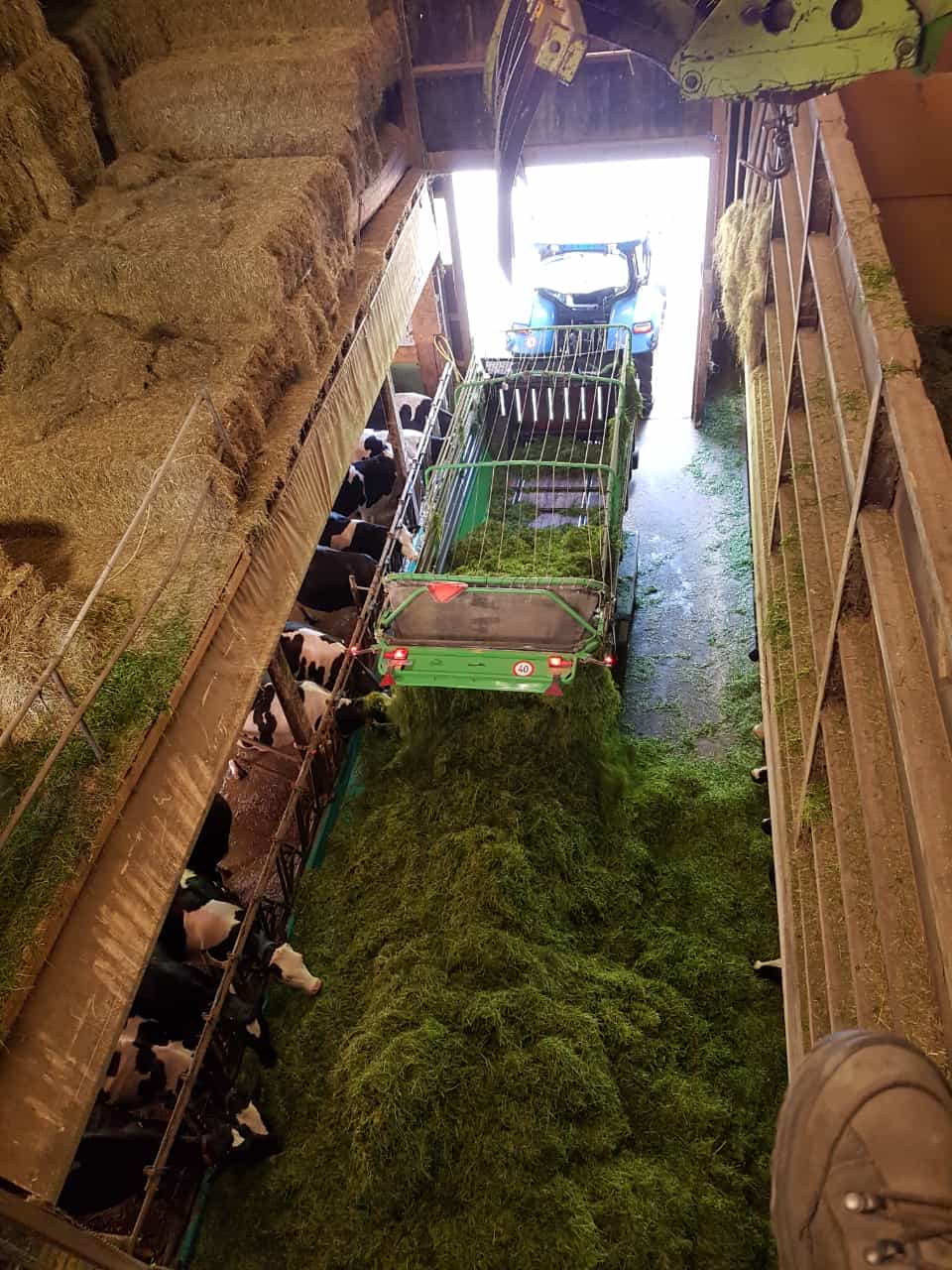 Gras silieren, Hof Werner Merishausen